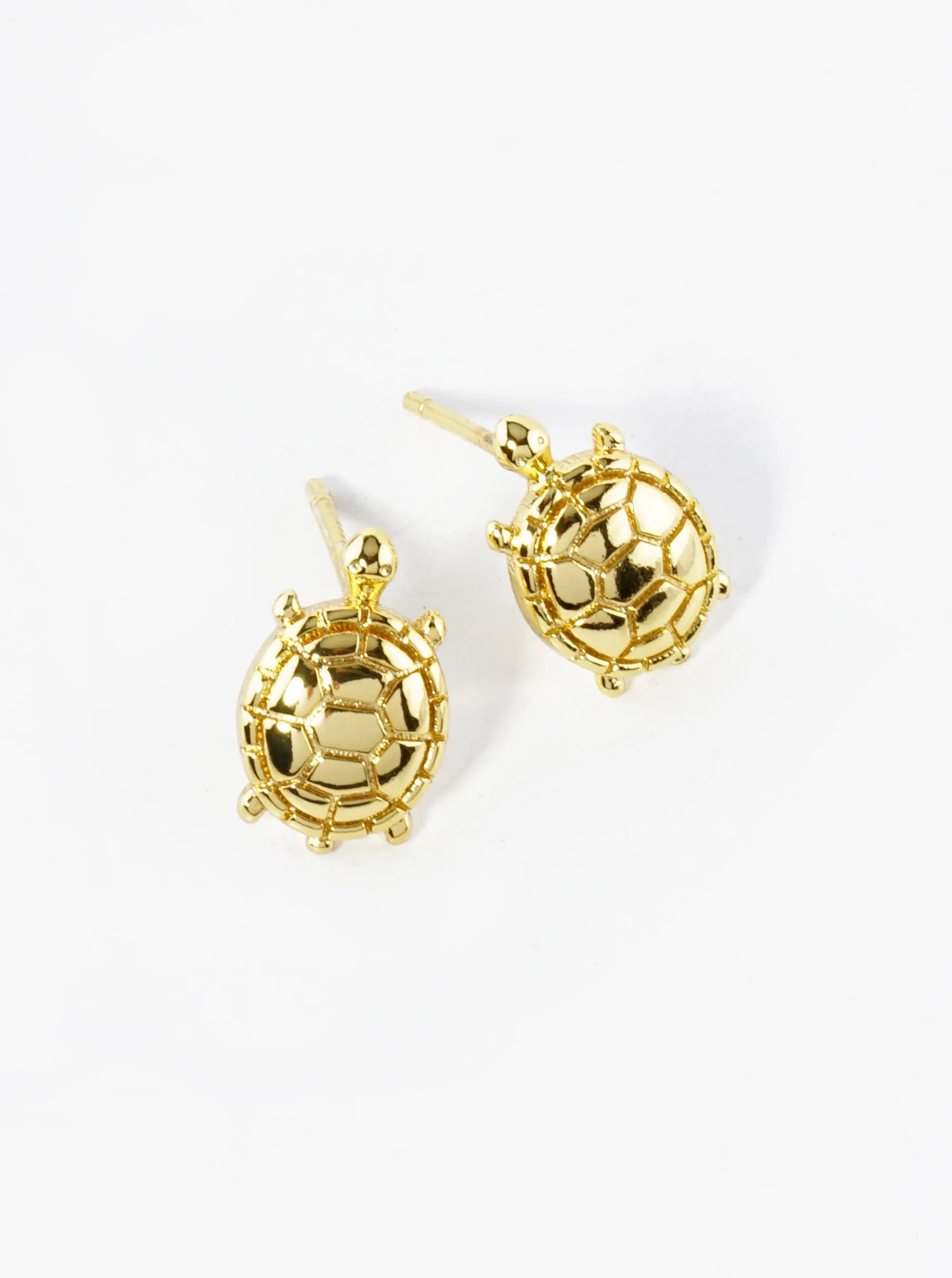 White Gold Dipped Textured 11mm Turtle Stud Earrings