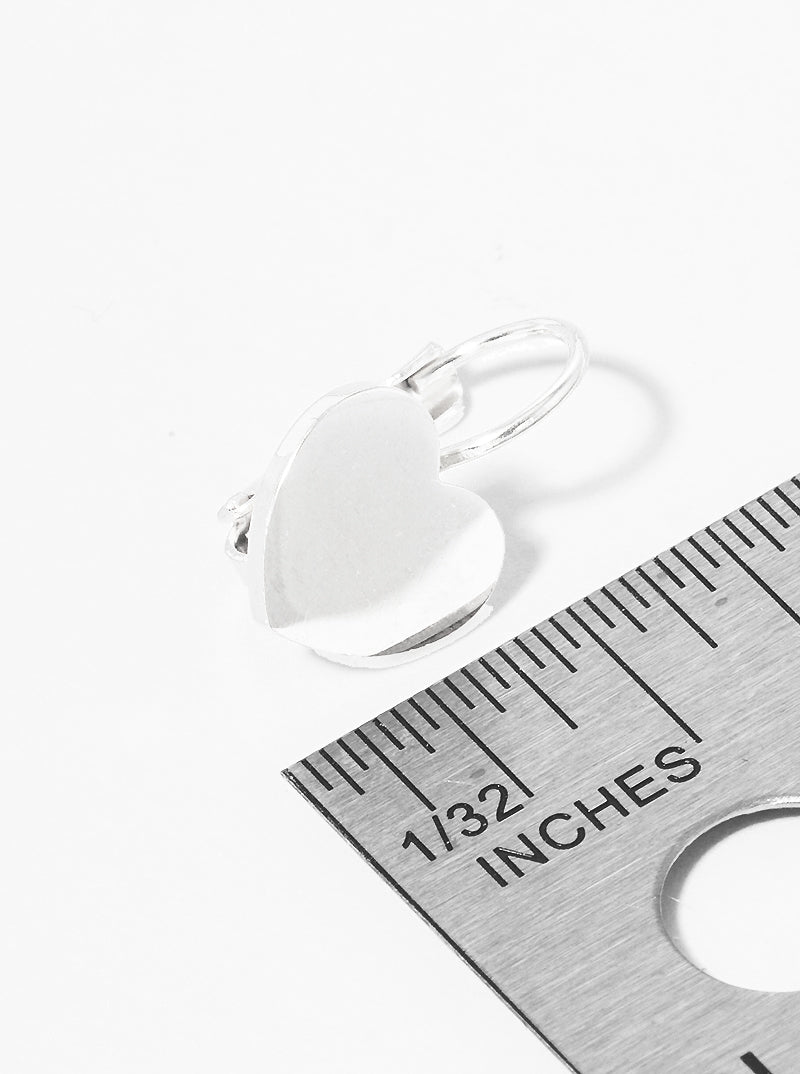Premium Stainless Steel Heart Lever Back Earrings
