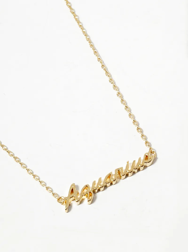 18k Gold Dipped Zodiac Pendant Delicate Necklace