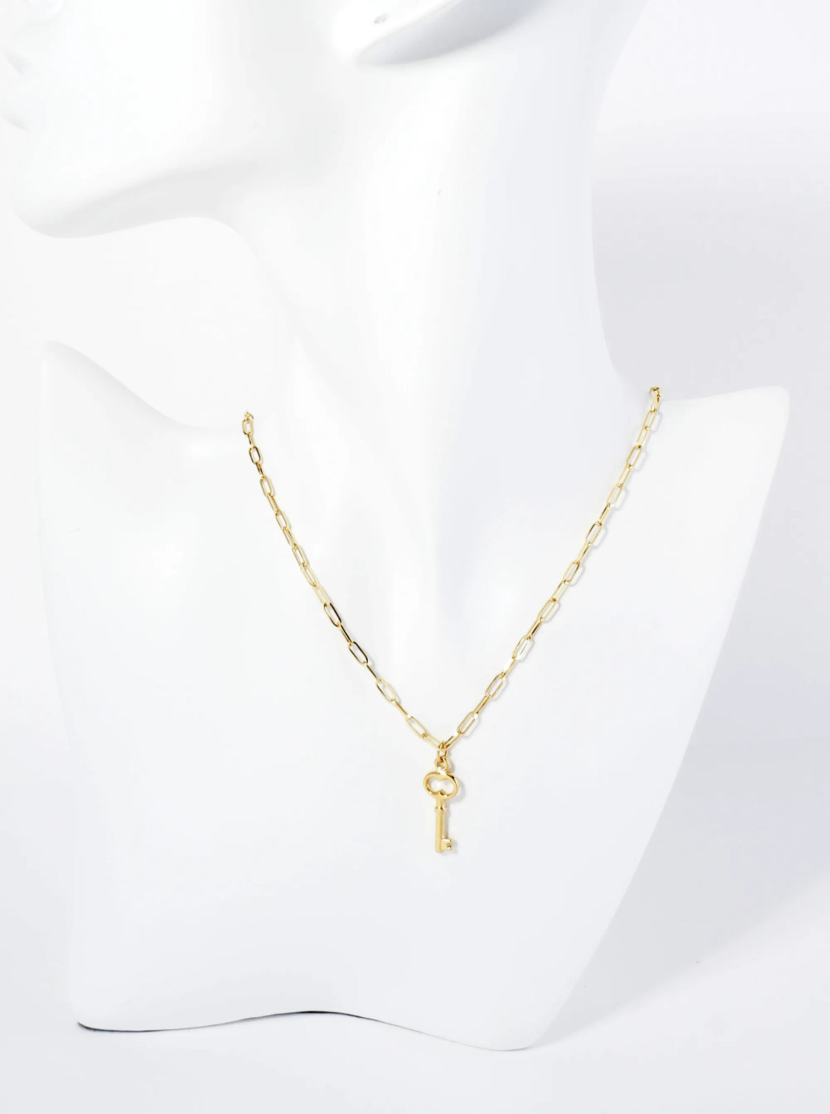 Antique Key Pendant Hypoallergenic Stainless Steel Necklace
