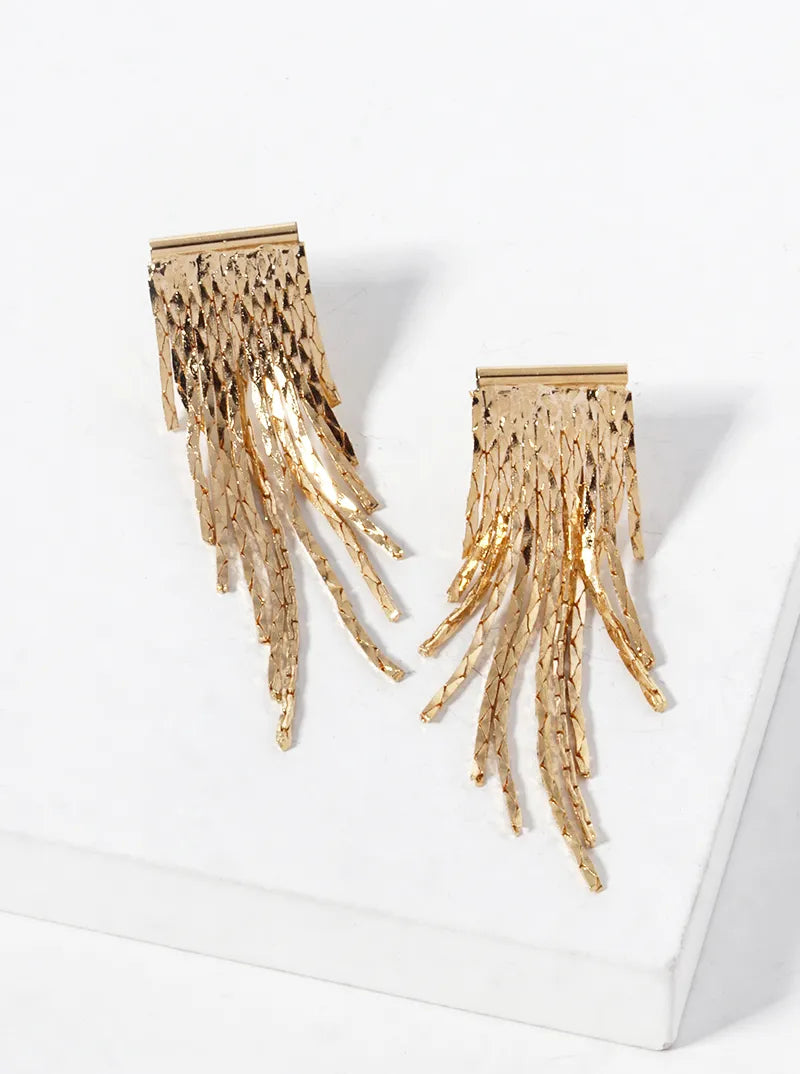 Delicate Chain Fringe Earrings