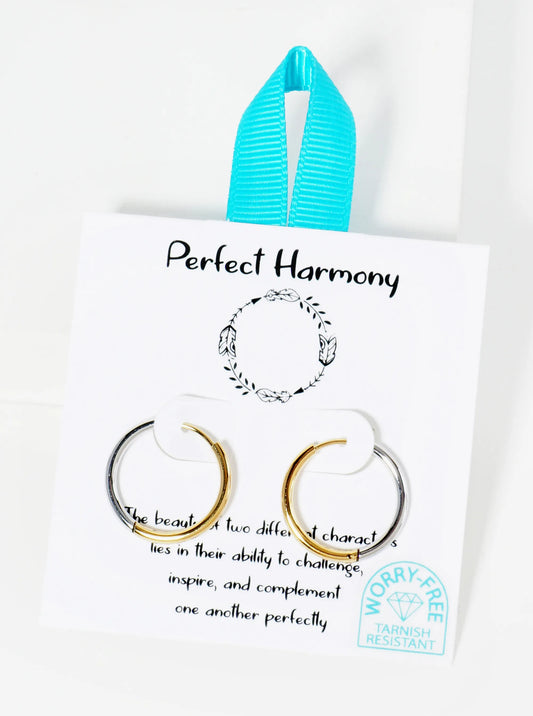 Dual-Tone 20mm Hypoallergenic Stainless Steel Endless Hoop Earrings