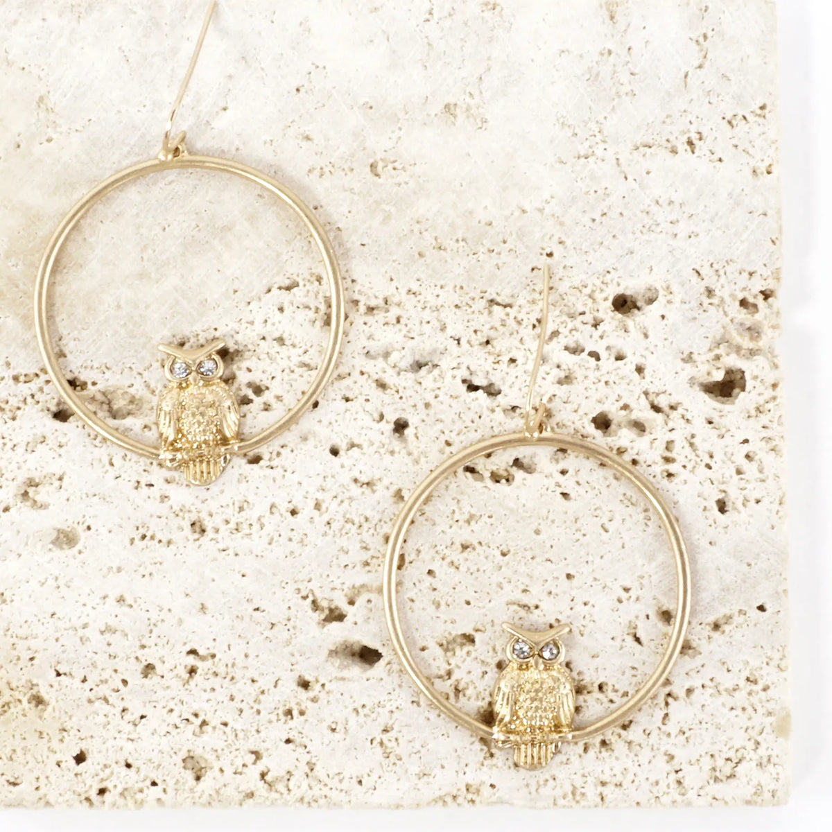 Metal Owl-in-Circle Dangle Earrings