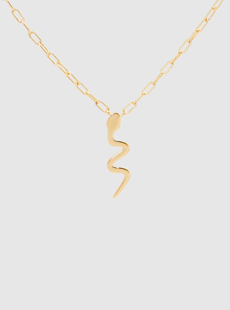 Polished Metal Snake Pendant Dainty Brass Necklace