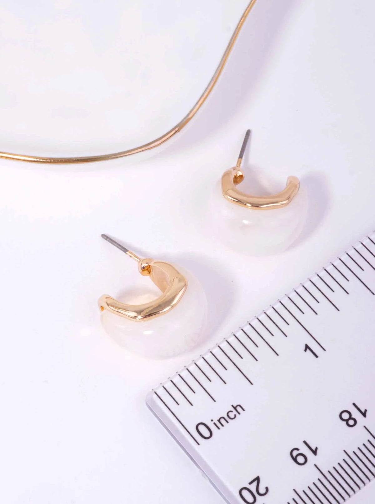Polished Oval Resin Hoop Post Back Earrings