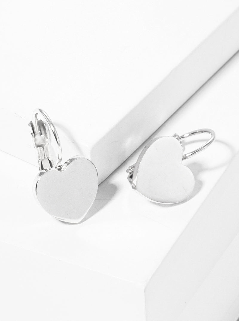 Premium Stainless Steel Heart Lever Back Earrings