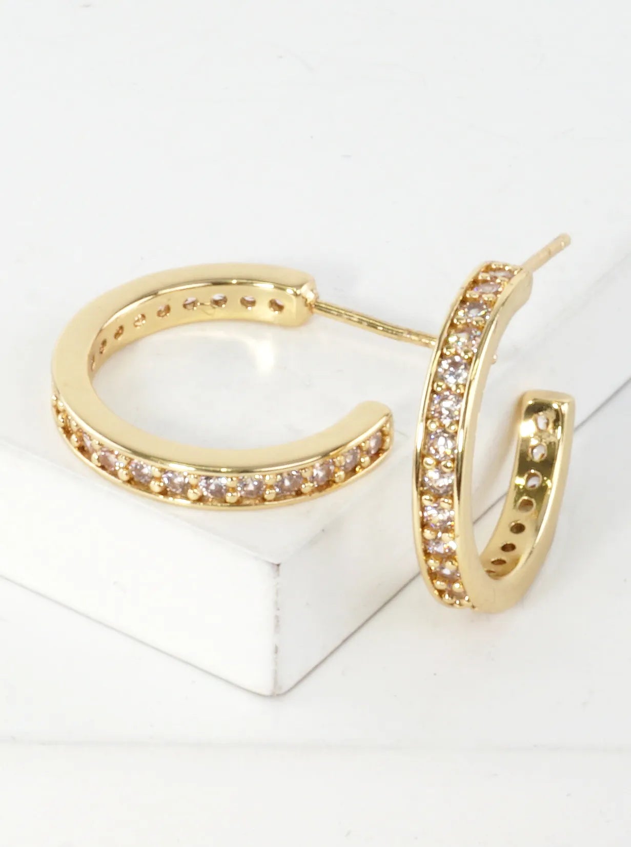 Small Sparkling Pave Round Hoop Earrings