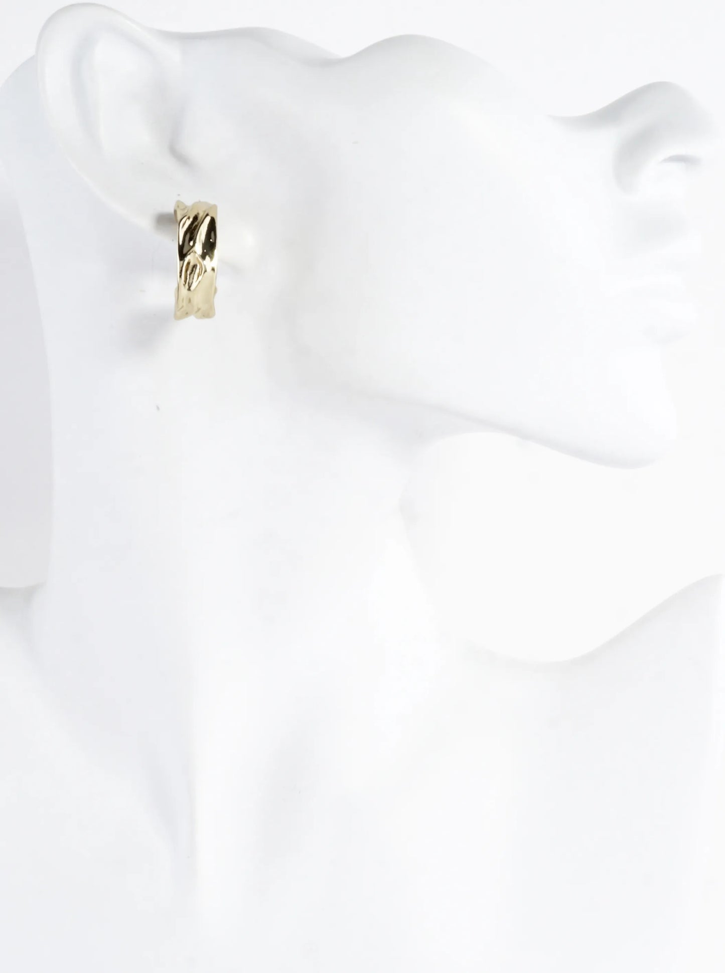 Sculpted Texture Hoop Earrings