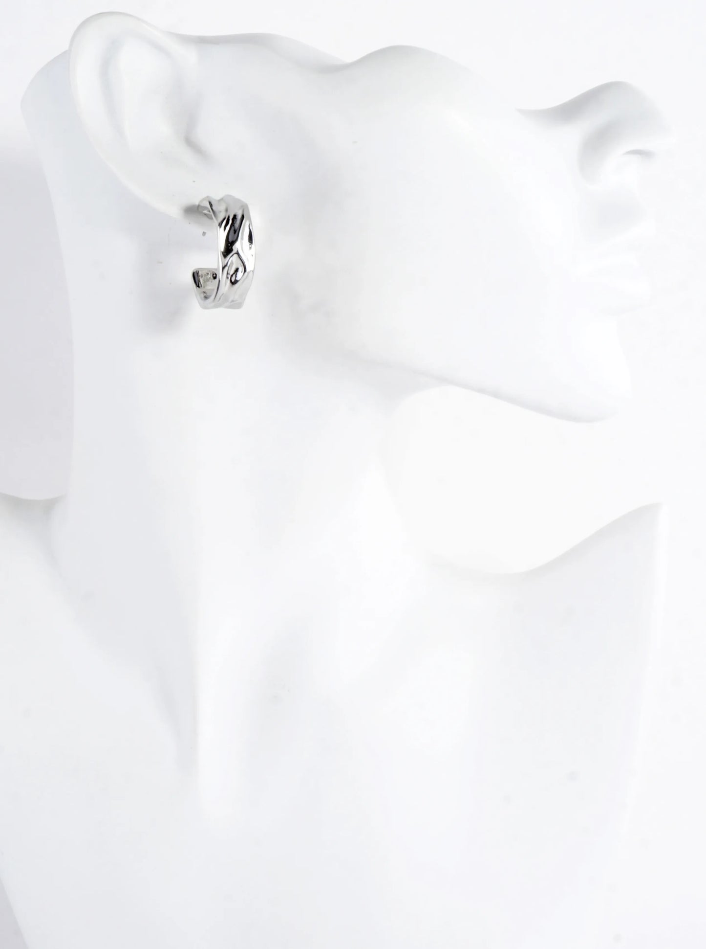 Sculpted Texture Hoop Earrings
